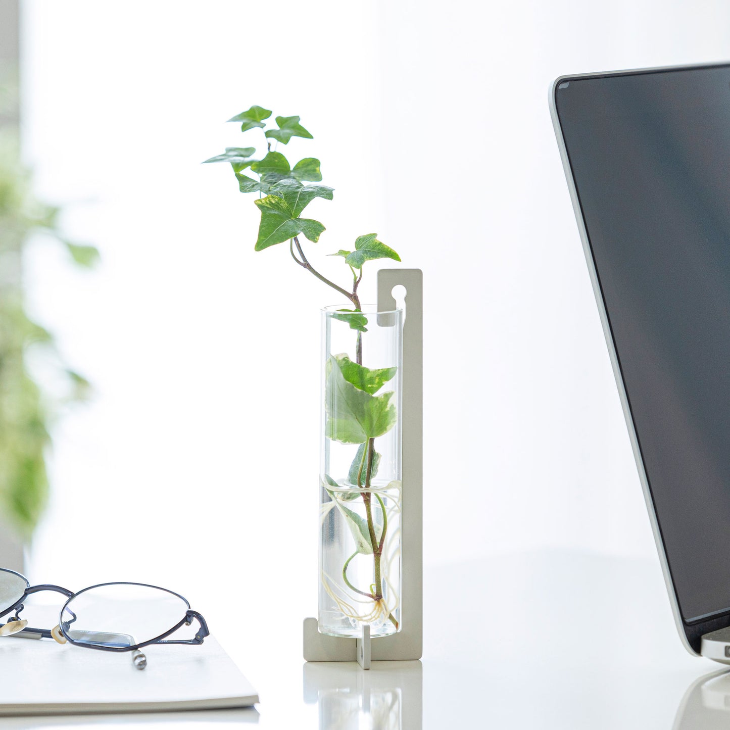 Flower vase link