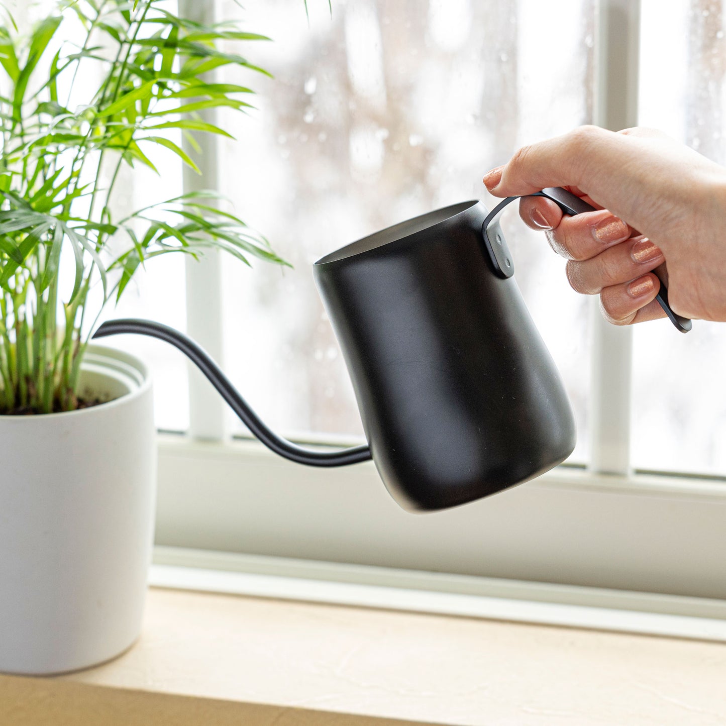 Planter pitcher